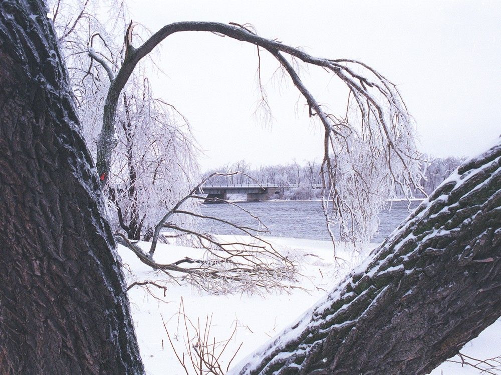  A picture of the Ottawa River during the 1998 storm, with the Champlain Bridge in the background.