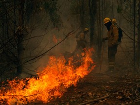 Brigade members of the National Forestry Corporation (CONAF) fight a fire in Nacimiento, Concepcion province, Chile on Feb. 4, 2023. – Chile has declared a state of disaster in several central-southern regions after a devastating heat wave provoked forest fires that left four people dead, authorities said on Friday.