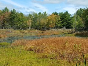 The Nature Conservancy of Canada added 75 hectares of land north of Kingston to its protected area.