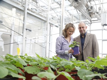 Marc-André Langlois and Allyson MacLean.