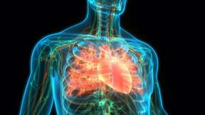 COVID-19_myocarditis