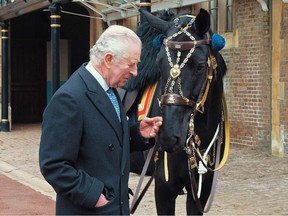 An undated handout picture taken and released Saturday by Buckingham Palace shows King Charles III meeting the black mare Noble, a horse gifted to him by the RCMP at the The Royal Mews in Windsor, England.