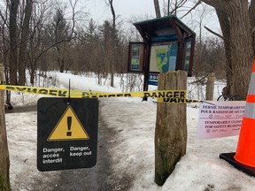The walking paths at Mud Lake in Ottawa are temporarily closed while the NCC tries to capture and relocate three aggressive male turkeys that have been terrorizing walkers.