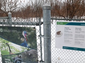 Mud Lake and the Britannia Conservation Area in Ottawa Friday, March 17, 2023. The National Capital Commission was briefly blocking off walking paths in the area earlier this month as it tried to trap and relocate aggressive wild turkeys.