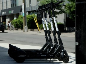 Le personnel de la Ville d'Ottawa recommande le retour du programme de trottinettes électriques 3 Une photo d'archive de 2020 de scooters électriques Bird garés près de l'hôtel de ville d'Ottawa.