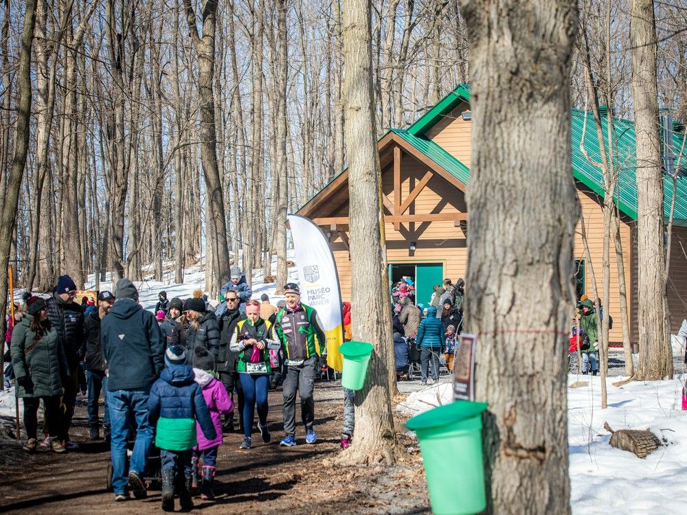 Maple sugar fans throng to Vanier Muséoparc's revived festival | Ottawa  Citizen