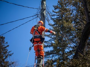 Crews with Holland Power Services worked to cut a live power line that was down in a backyard of a home in the McKellar Heights area, Saturday, April 8, 2023.