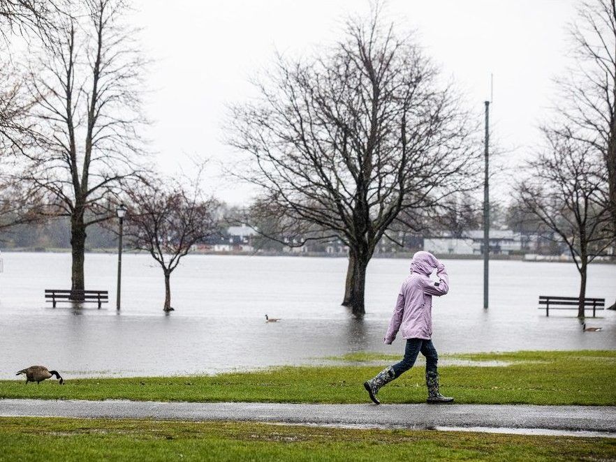 Region on edge as continued heavy rain forecasts prompt flood warnings thumbnail