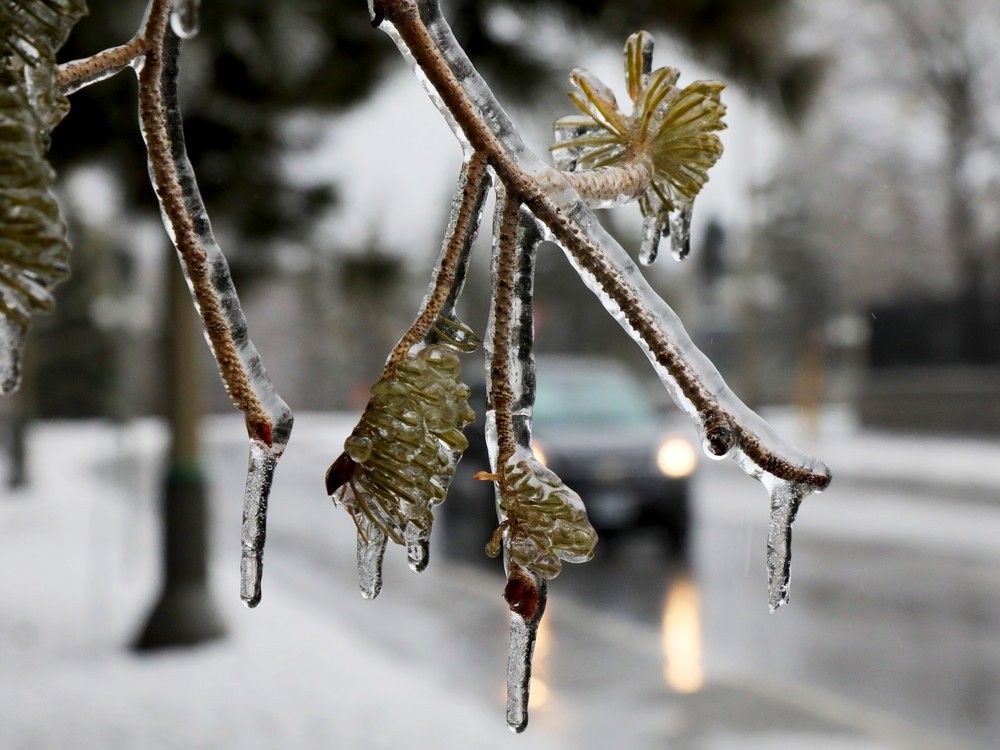 Science de la tempête de verglas : pourquoi Ottawa est un endroit géographique idéal pour la pluie verglaçante