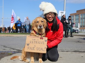 Mango, alongside her human, Alison Cheng, was showing her support for the striking Public Service Alliance of Canada workers in Ottawa on Tuesday, April 25, 2023.