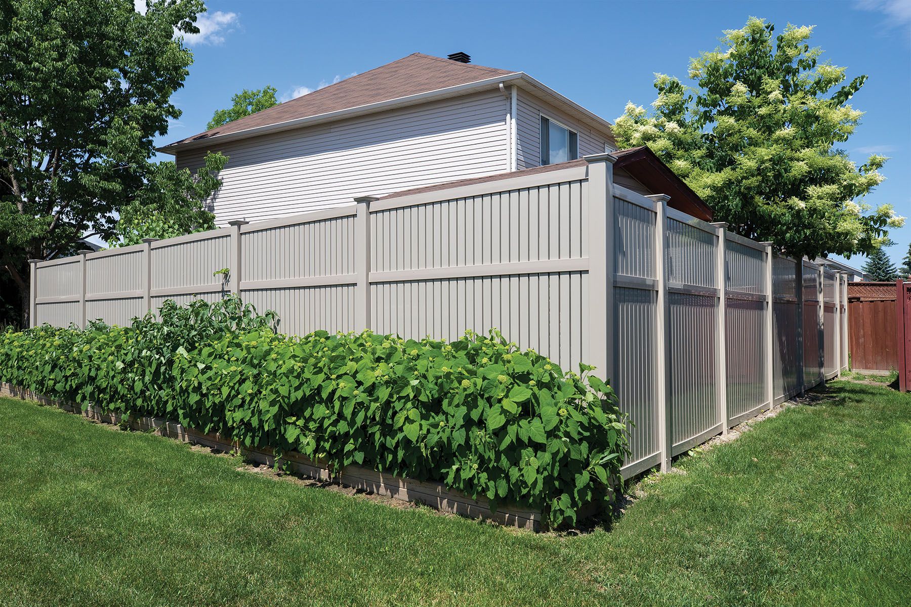 How high can I build my fence? Whats the best type of budget fencing? Ottawa Citizen