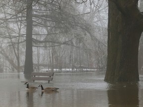 Ottawa was covered in ice and fog Thursday morning after an ice storm Wednesday. Trees were down all over the city and there was some flooding near the Rideau River. Pictured is a flooded Brantwood Park in Ottawa Thursday.