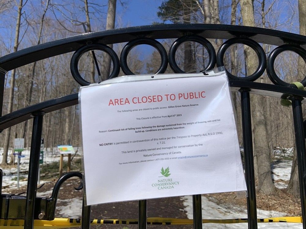La réserve naturelle de Gillies Grove fermée en raison de dommages causés par la tempête de verglas