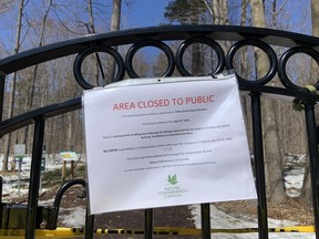 Gillies Grove, an old-growth forest in Arnprior, was closed to the public after trees were damaged in the ice storm of April 5, 2023.