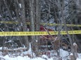 Hydro One helicopter crash Tweed