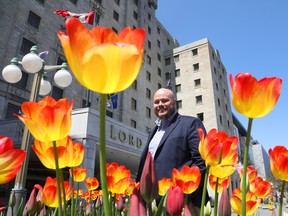 Tourism chief and tulips