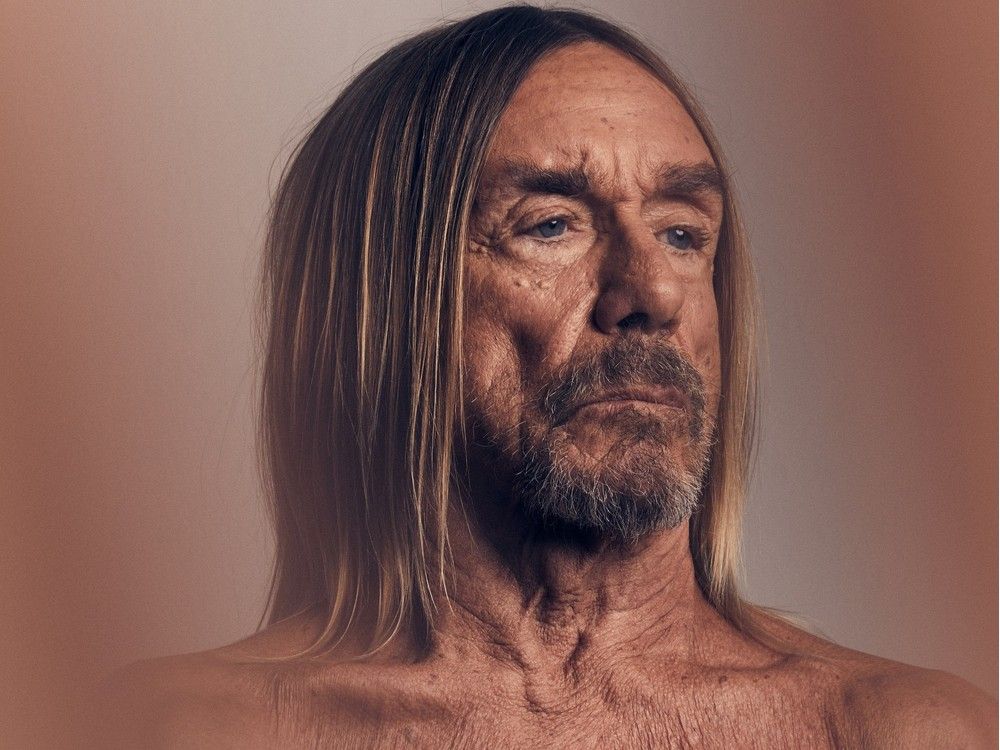 cityfolk-lineup-announced-iggy-pop-hozier-fortunate-ones-and-more