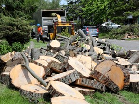 A file photo shows work crews cleaning up the in the Pineglen neighbourhood on May 25, 2022, four days after the area was badly damaged by the derecho.