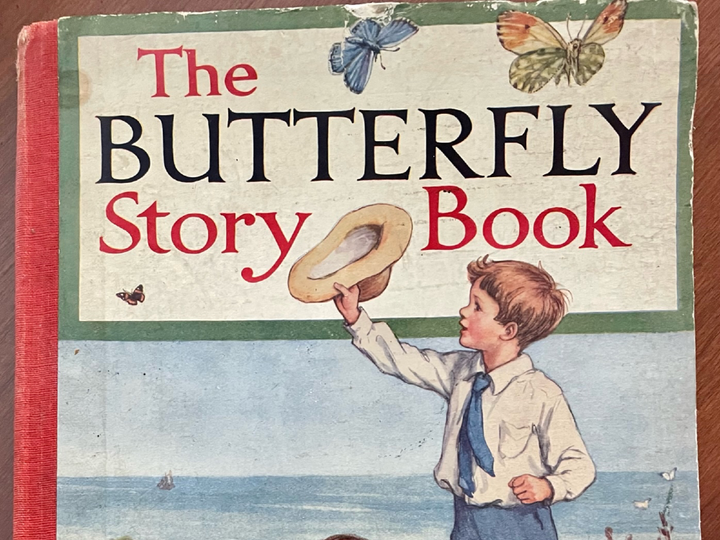  The Butterfly Story Book.