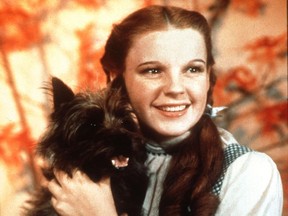 Judy Garland and Toto in the Wizard of Oz (1939).