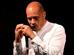 Harmonica player Gregoire Maret