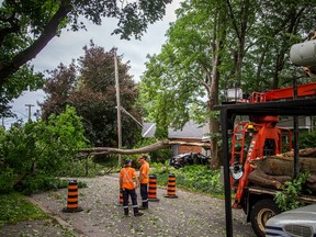 Westboro downed trees storm damage