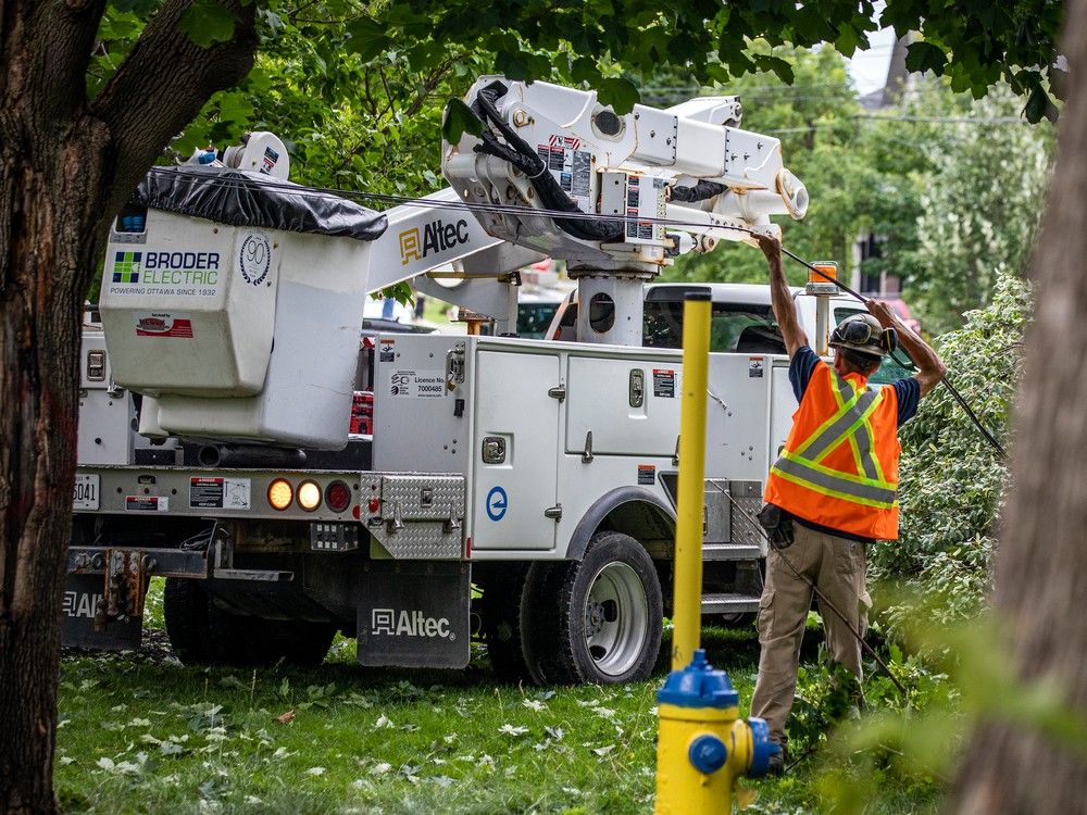 westboro storm damage trees down
