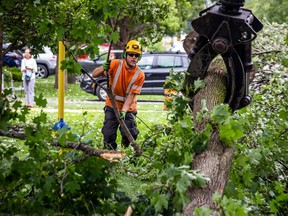 The Westboro area was heavily hit by Friday night's storm that ripped through the area with high winds, large hail and heavy rain. Hydro crews and city tree cleanup crews were out in the area working hard to get power restored and streets opened Saturday, July 29, 2023.