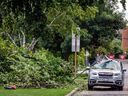 Paul Nichols' vehicle, heavily damaged by a fallen tree on Friday, was still parked on Bromley Road early Saturday.