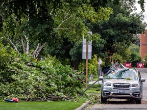 Paul Nichols car Bromley Road tree storm damage