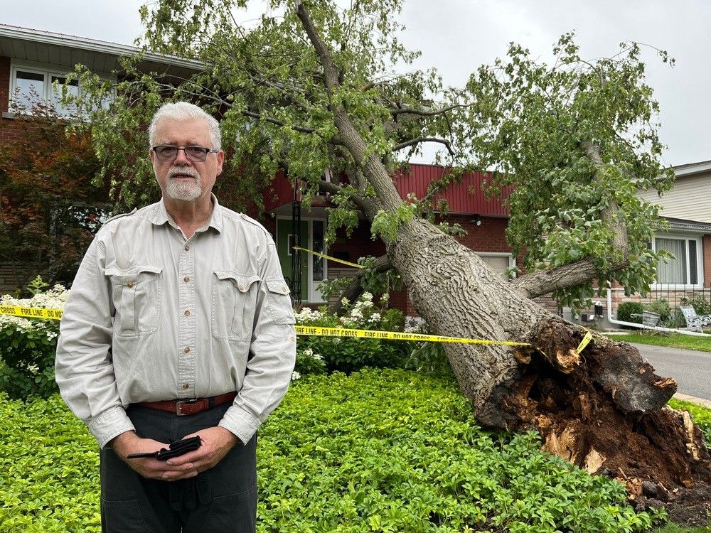 Michael Walsh Wembley Road tree storm damage