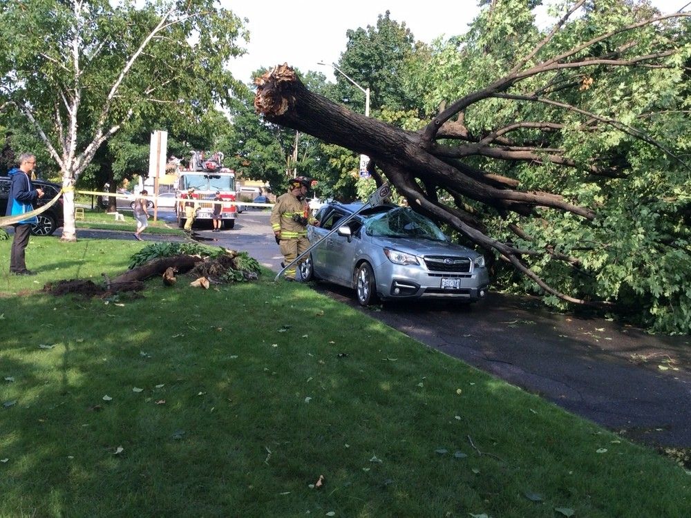 Paul Nichols damaged car tree Bromley Road