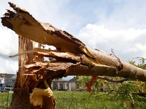 Families go outside their home to check out the damage to their homes and neighbourhood after a tornado rips through Barrhaven