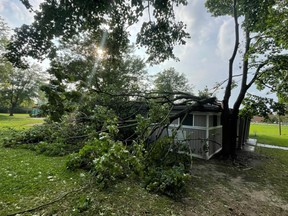 thunderstorm damage carlingwood westboro
