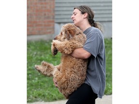 Tornado touches down in Barrhaven, approximately 125 houses affected