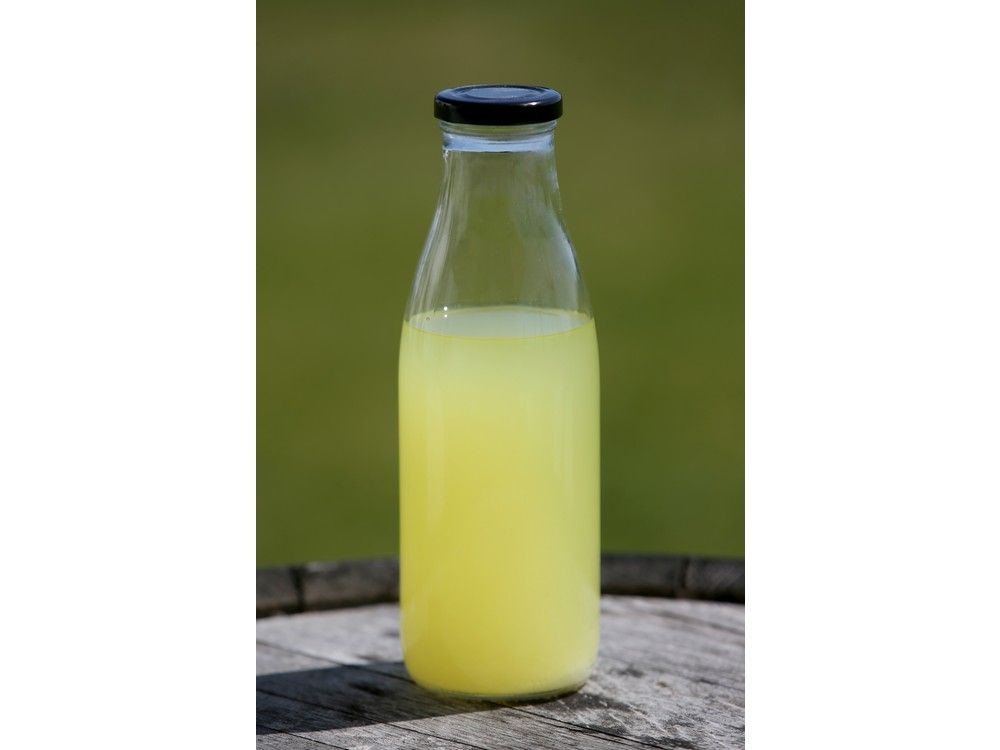 Almonte vodka company Dairy Distillery enters the biofuel business Ottawa Citizen