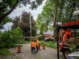 hail storm cleanup