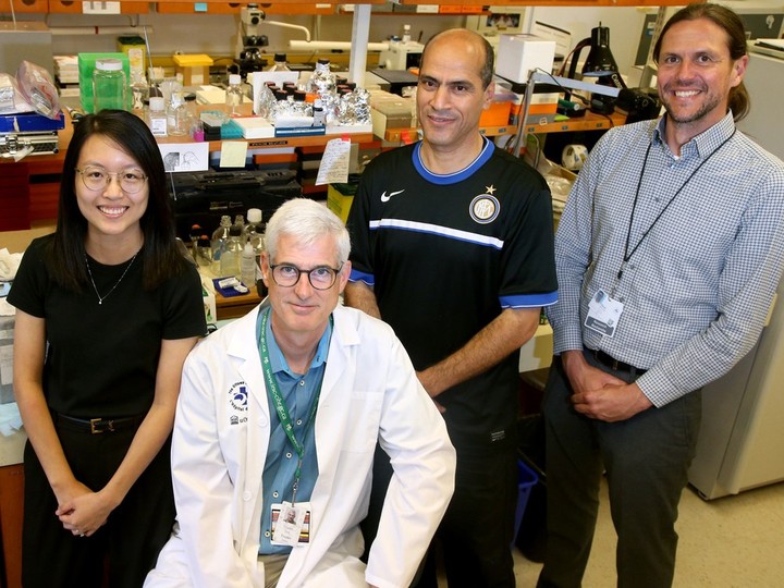  Dr. Guy Trudel, front, with, left to right, research coordinator Tammy Liu, research assistant Mohamed Thabet and MRI physicist Dr. Gerd Melkus.