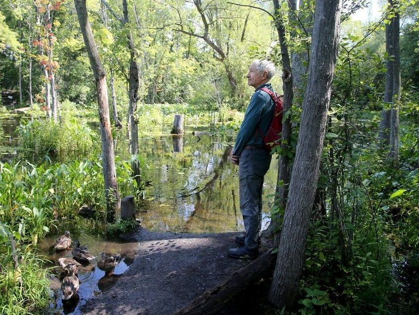 Mud Lake trails to close until December for rehabilitation project ...