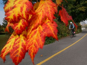 The fall colours are starting to show near the Rideau Canal in Ottawa.