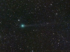 NASA has released this image of Comet Nishimura, taken from June Lake, Calif., on Aug. 18.