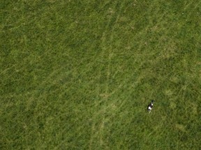 While no one explicitly told developers that Ontario planned to open up the protected Greenbelt for housing last year, the government telegraphed that message to builders through actions – and silence, the province's integrity commissioner found. A cow grazes on a farm in the Ontario Greenbelt near Guelph, Ont., on Monday, July 10, 2023.
