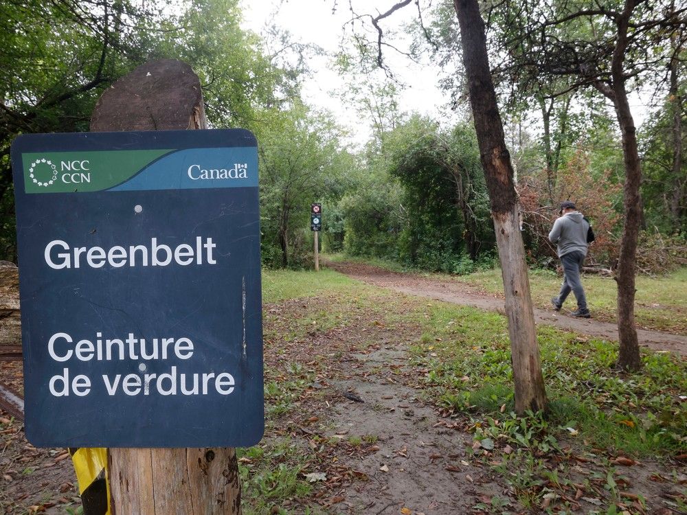 Greening Up the Suburbs – What to do with Greenbelt's Empty Parking Lots? -  Greenbelt Online