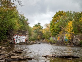 Deschênes Rapids on the Ottawa River.