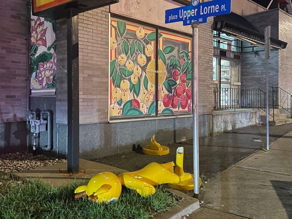 One of the damaged yellow deer statues lies on the ground after being vandalized.