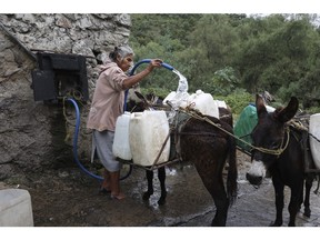 A person fills her donkey's water jugs