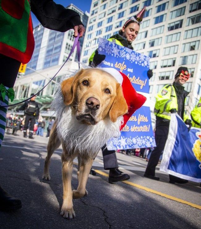 54th Help Santa Toy Parade