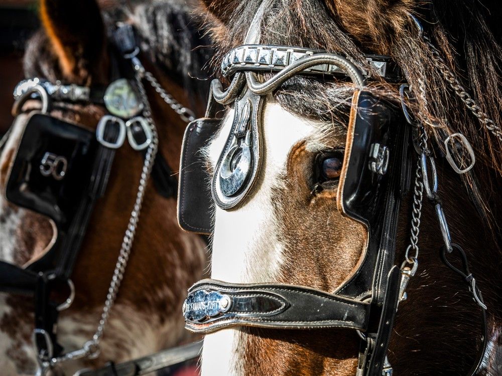 54th Help Santa Toy Parade