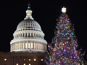 Christmas tree outside U.S. Capitol building