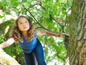 The landscape of childhood has transformed in ways that are profoundly affecting the way children develop.